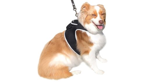 Rechargeable Mini Collar GPS Tag Pet Tracker w/ Wireless Realtime App Size:XL
