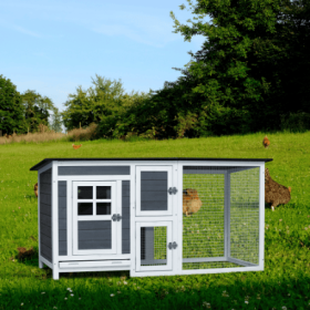 Outdoor Indoor Poultry Cage Small Animal House Outdoor Chicken Hutch Coop With Running Cage (Option: Beanred Teddy)